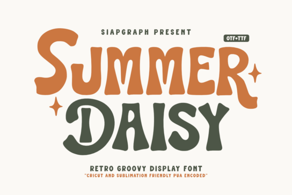 Summer Daisy: The Font That Made My Campaign Pop